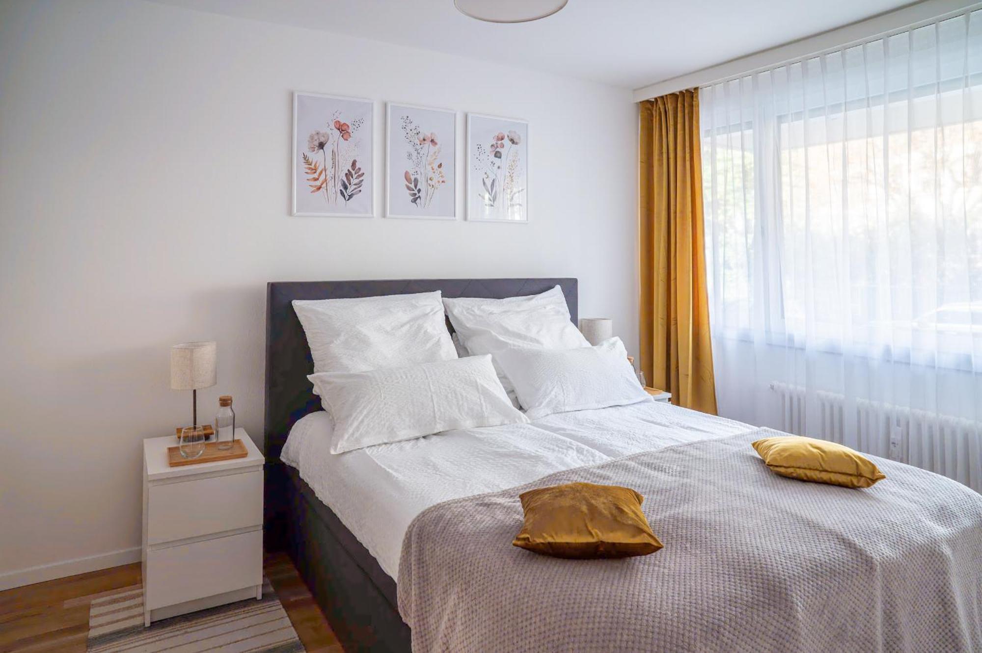 Expo-Basel-Ch Apt, Amazon Prime Video, Wifi, Coffee & Tee, Popcorn, Kitchen Exterior photo